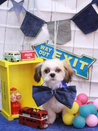 20230406ララくん